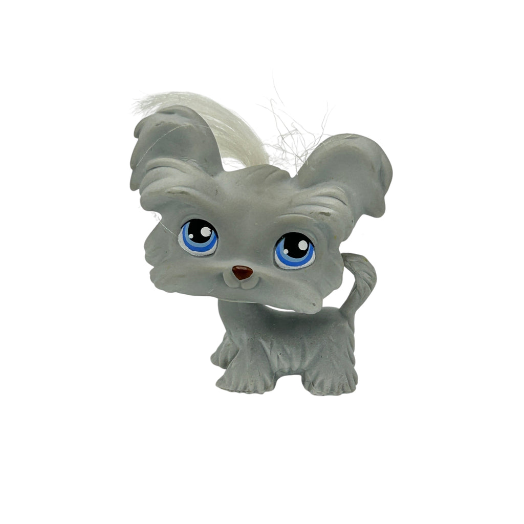 LPS koira Yorkie terrieri #227
