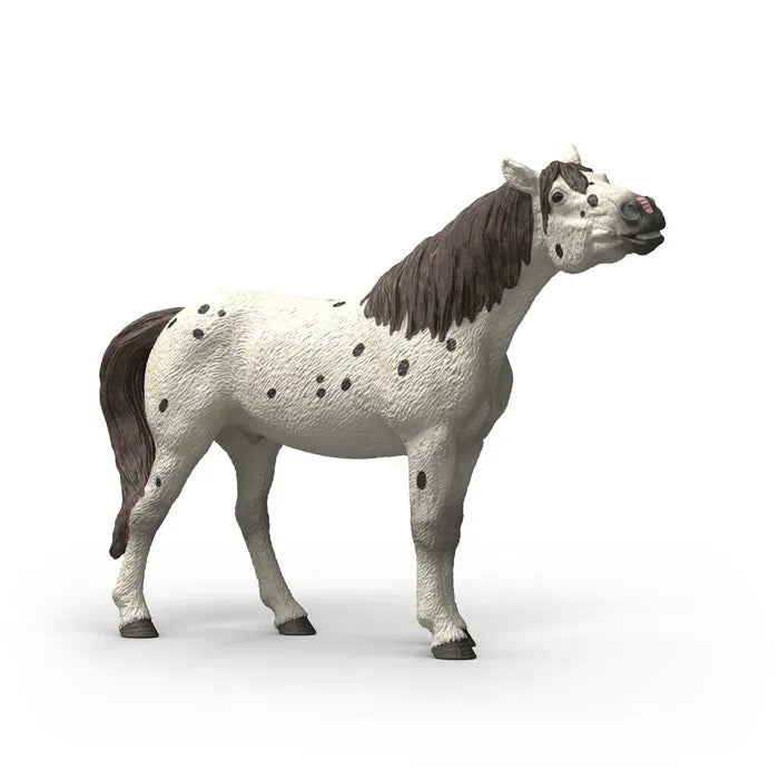 Schleich Horse Club 14916 Knabstrupper, ruuna