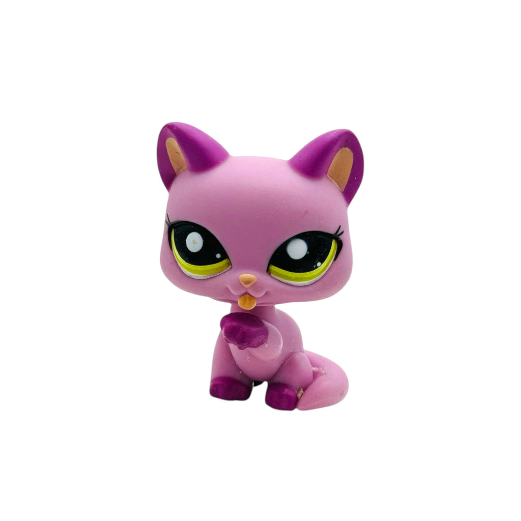 LPS tassua nuoleva kissa #1745