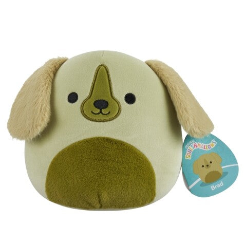 Squishmallows P22 19cm pehmolelu, (lajitelma B)