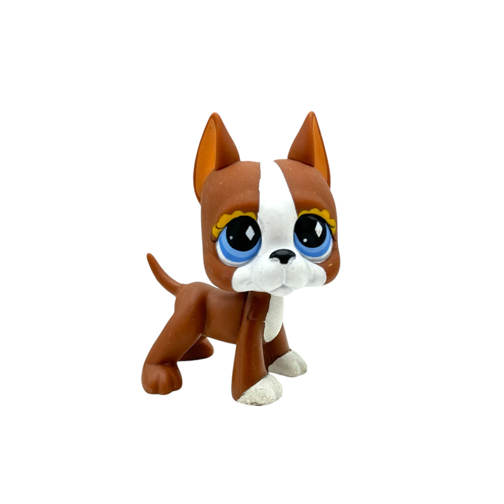 LPS tanskandoggi #588