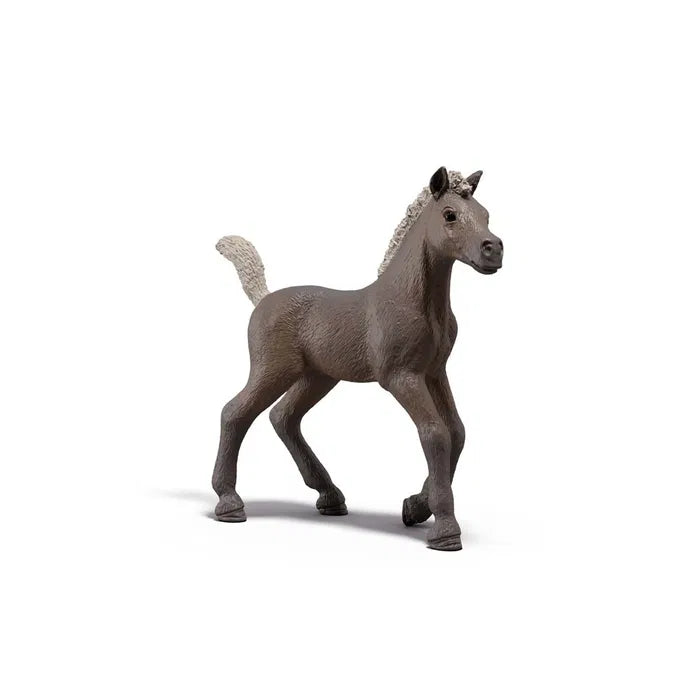 Schleich Horse Club 81460 Collectible Foal Series 1 -  Darcy hevonen varsa