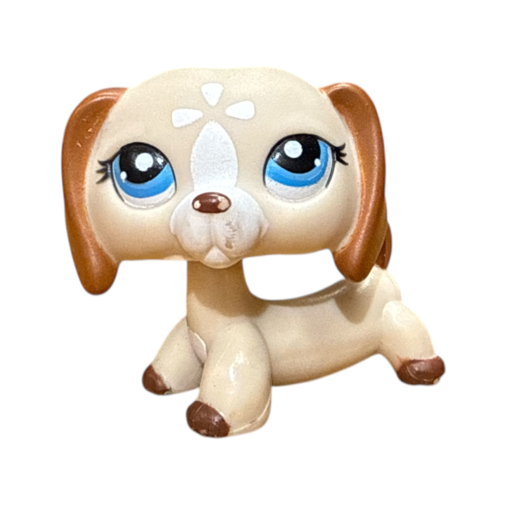 LPS mäyräkoira #1491