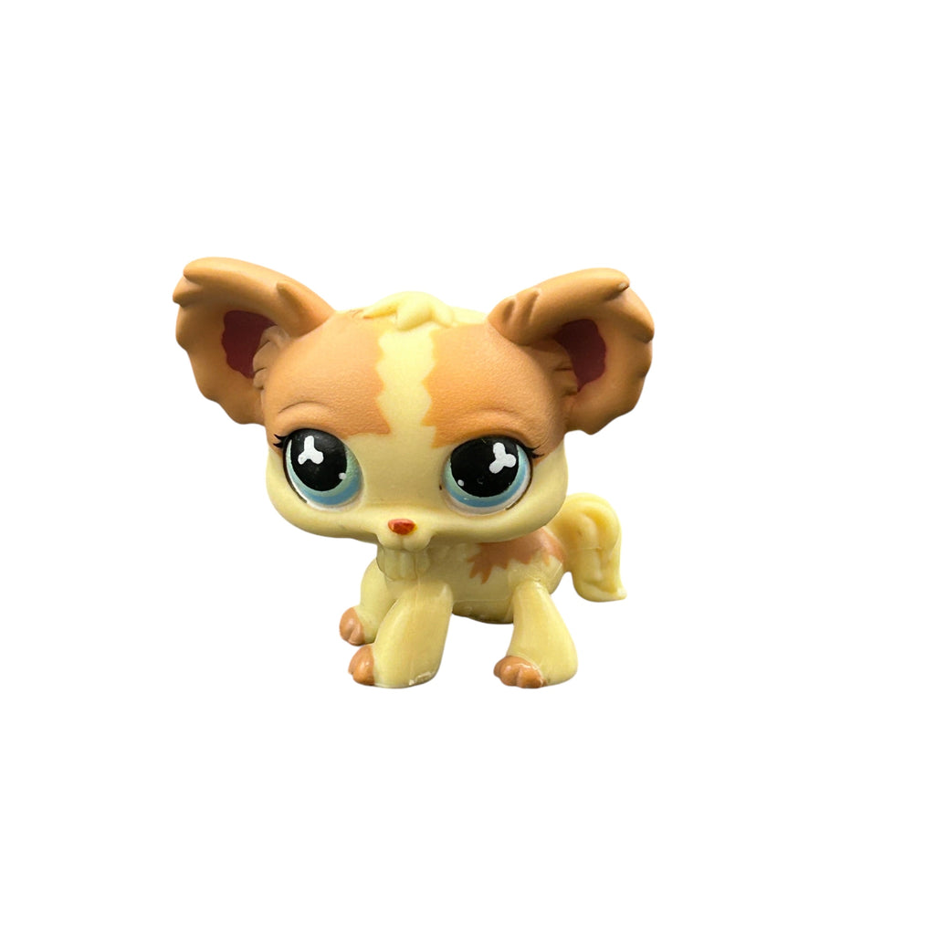 LPS chihuahua #765