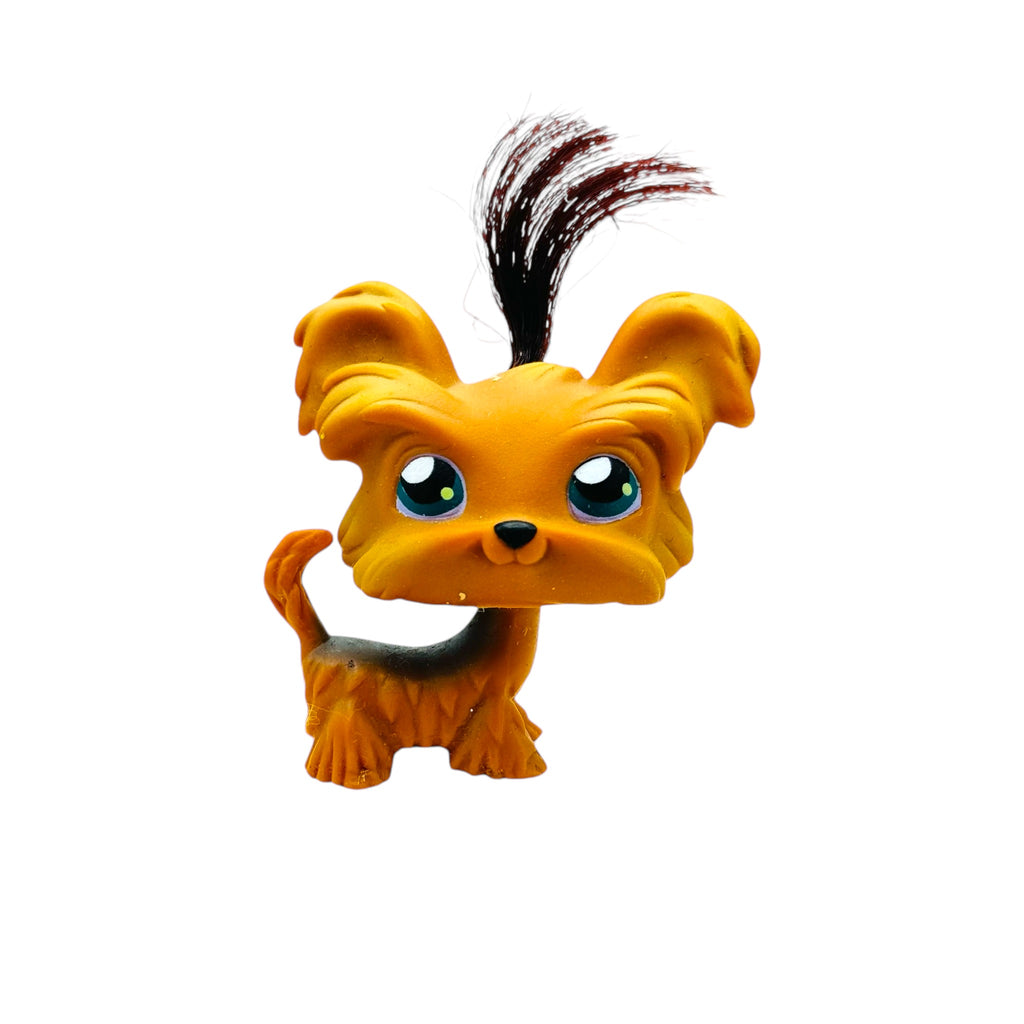 LPS koira Yorkie terrieri #042
