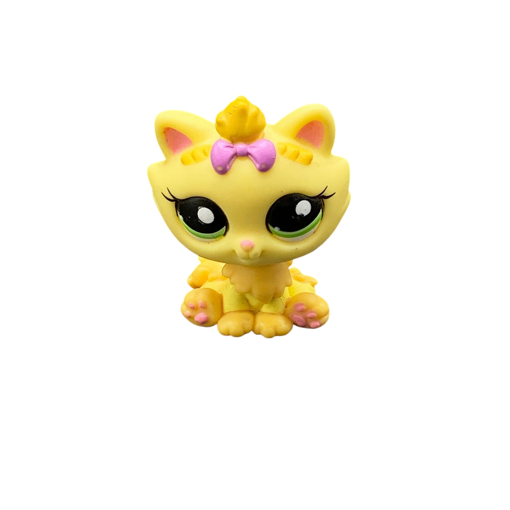 LPS kissa himalayan #2569