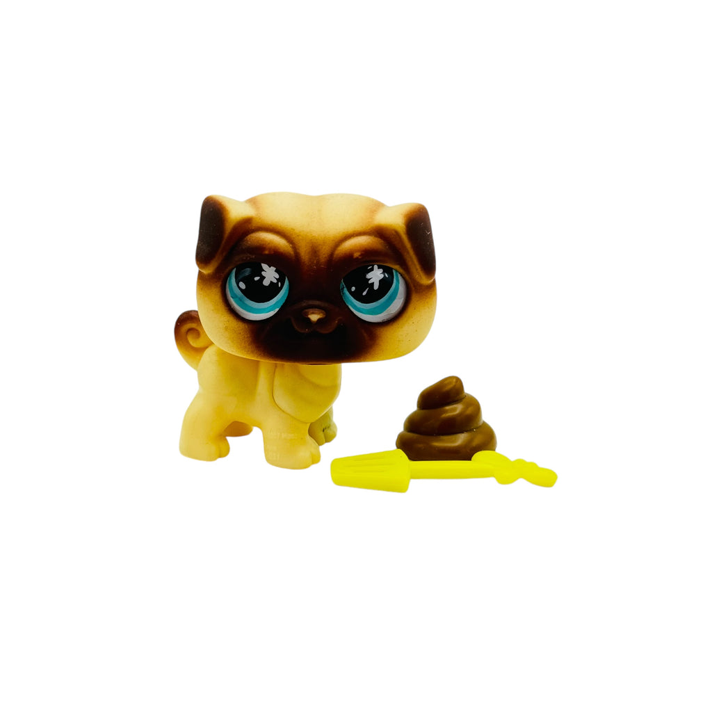 LPS mopsi #623