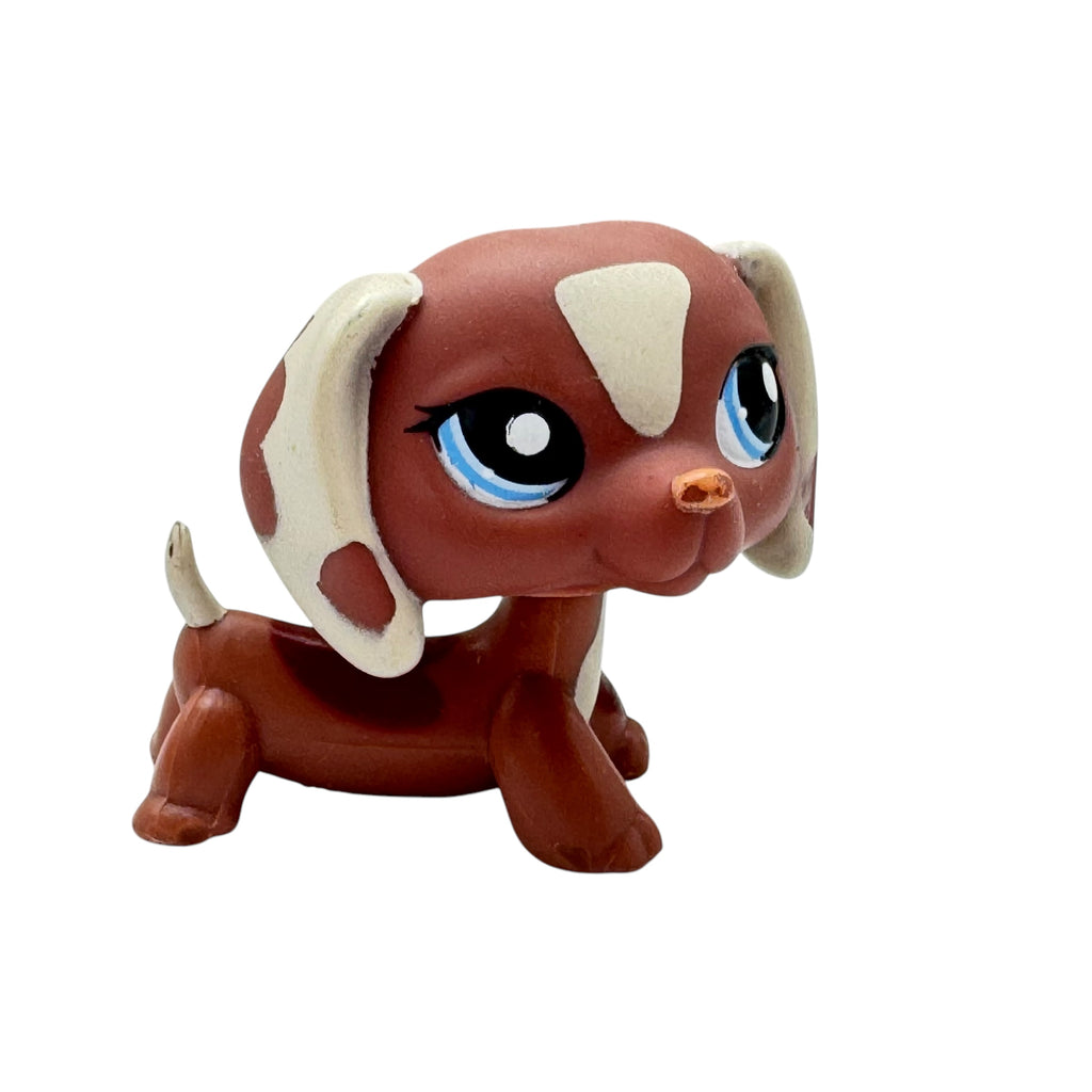 LPS mäyräkoira #1631