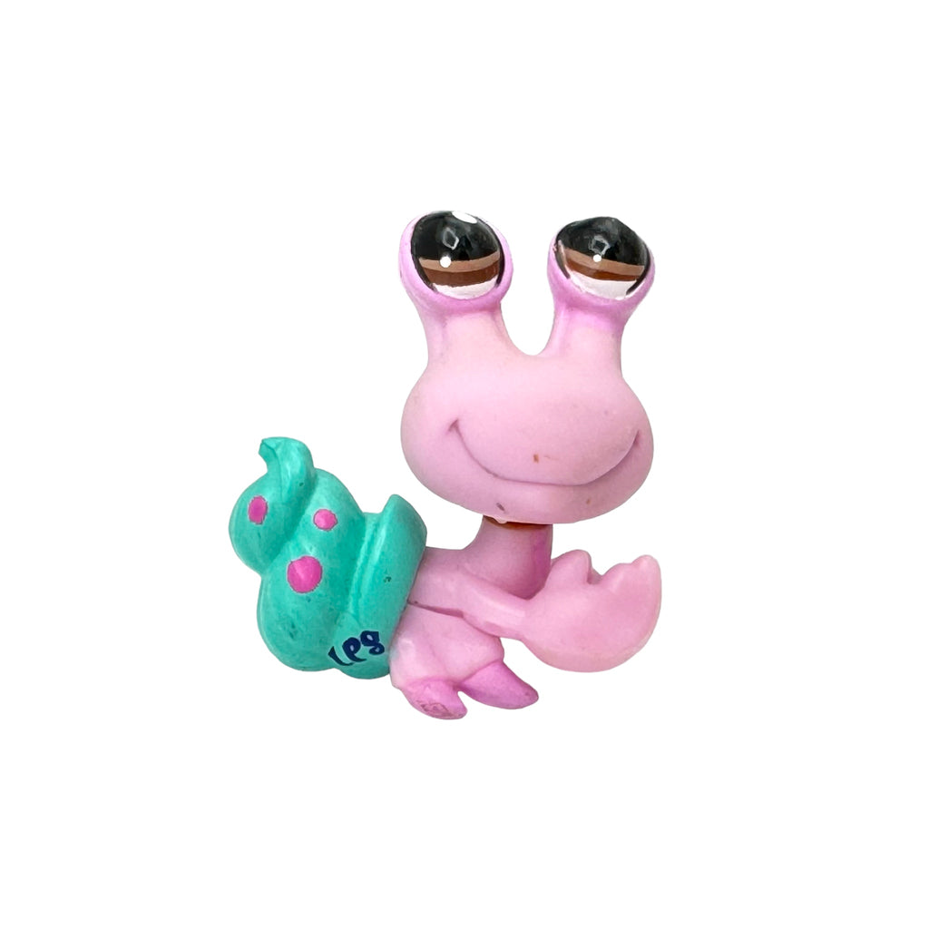 LPS rapu #2091