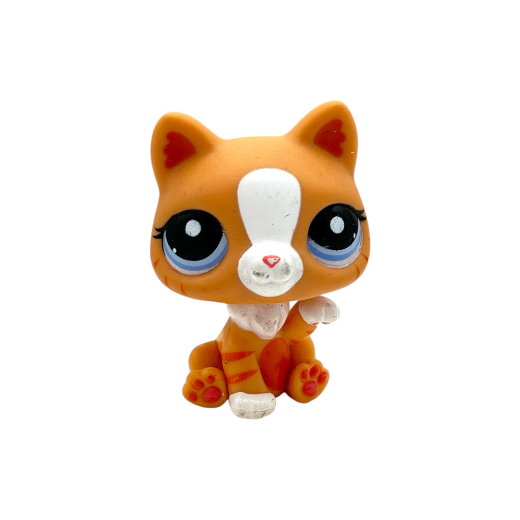 LPS kissa #2095