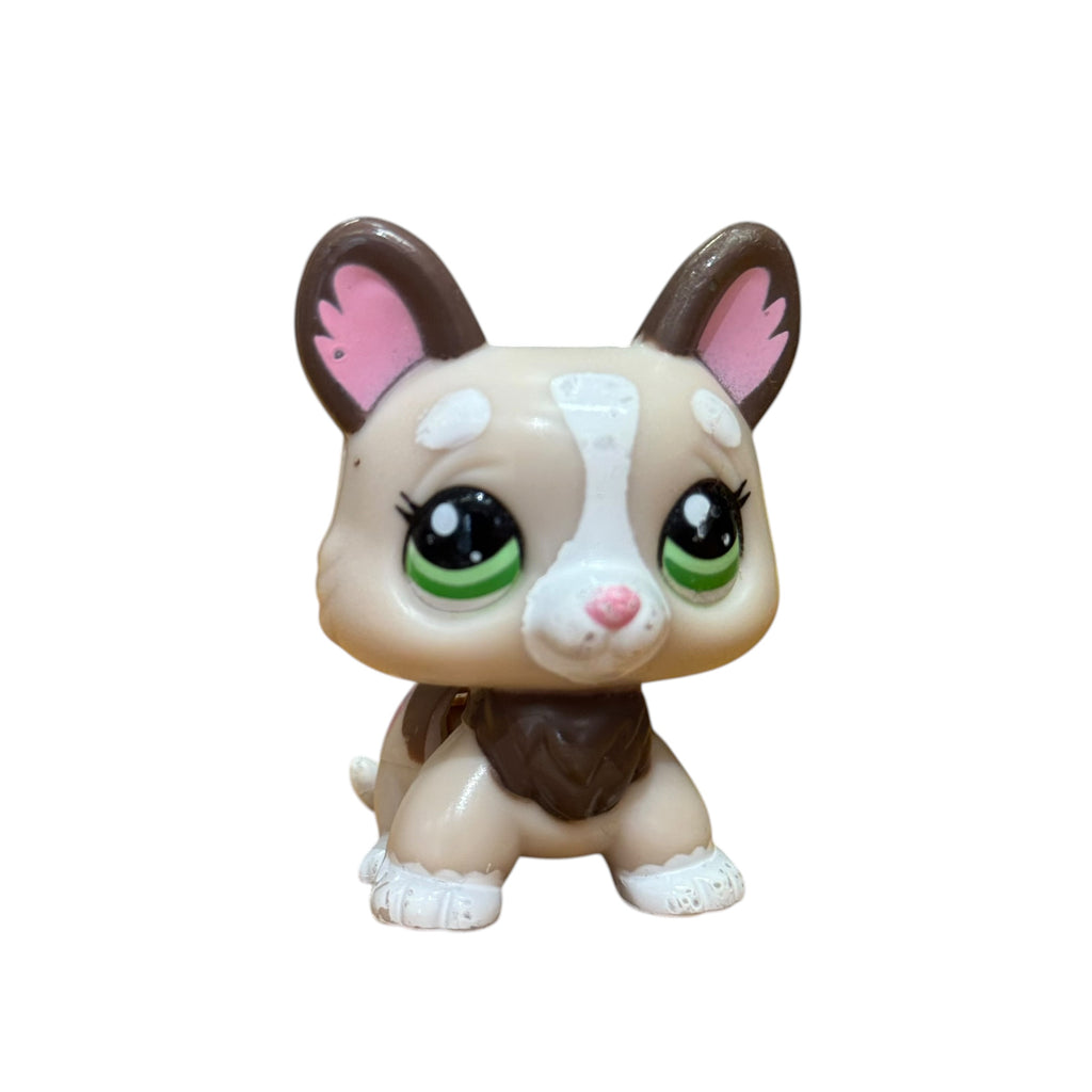 LPS Corgi koira #2311