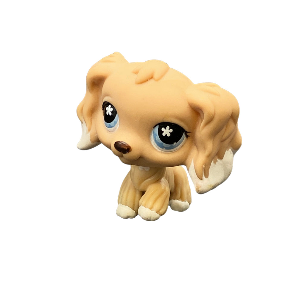 LPS cockerspanieli #568