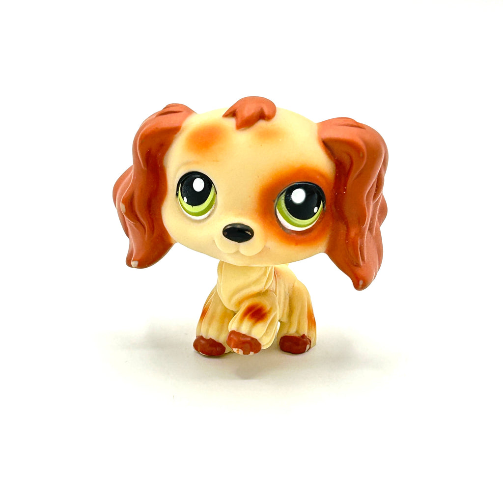 LPS cockerspanieli no# Puzzle