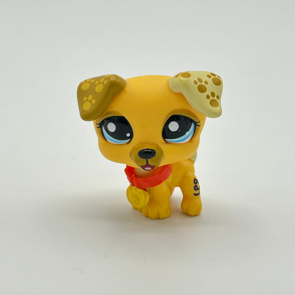 LPS koira Jack Russell #1496