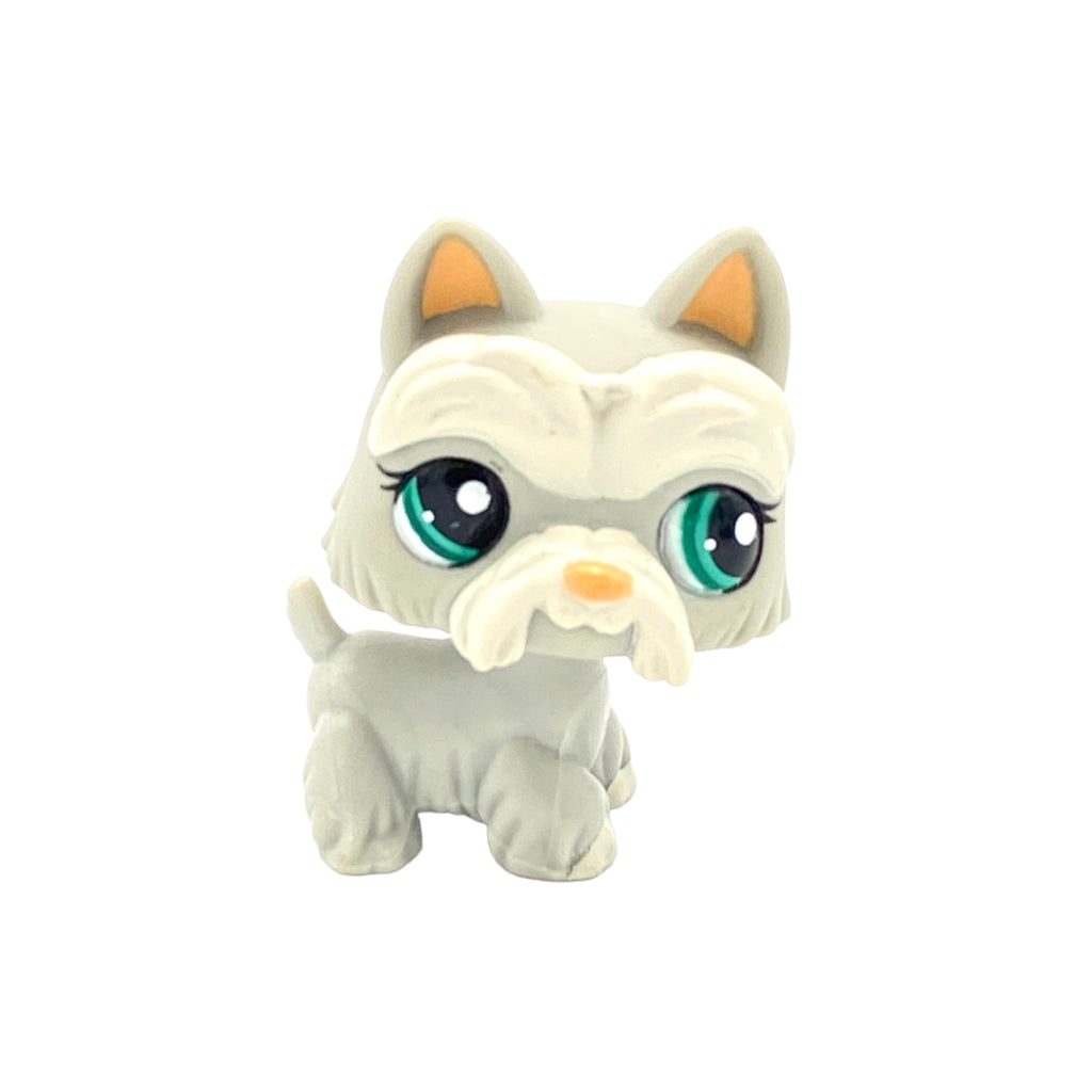 LPS koira ylämaanterrieri #1782