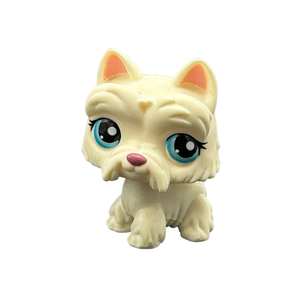 LPS koira ylämaanterrieri #1598