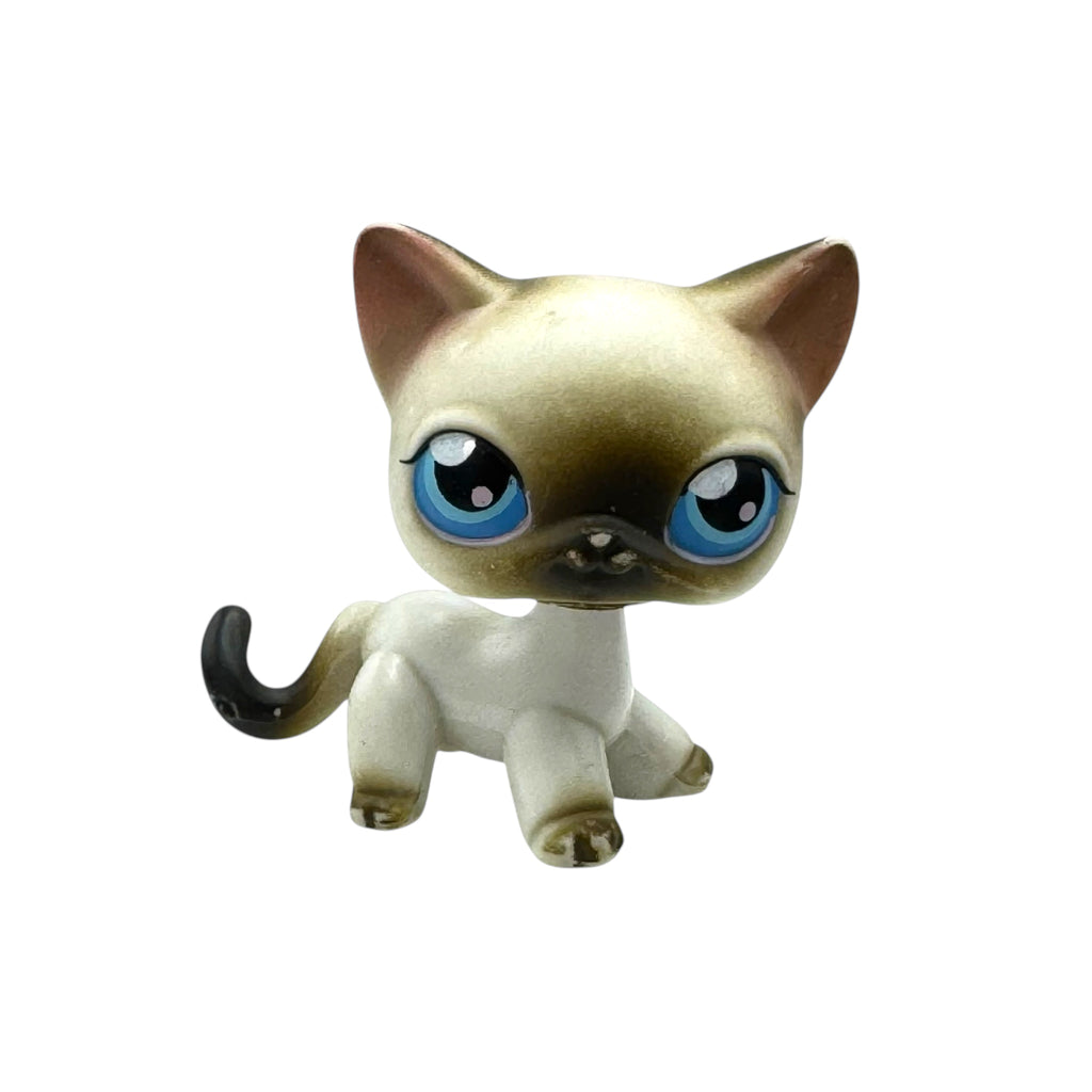 LPS seisova kissa #005 - punainen magneetti