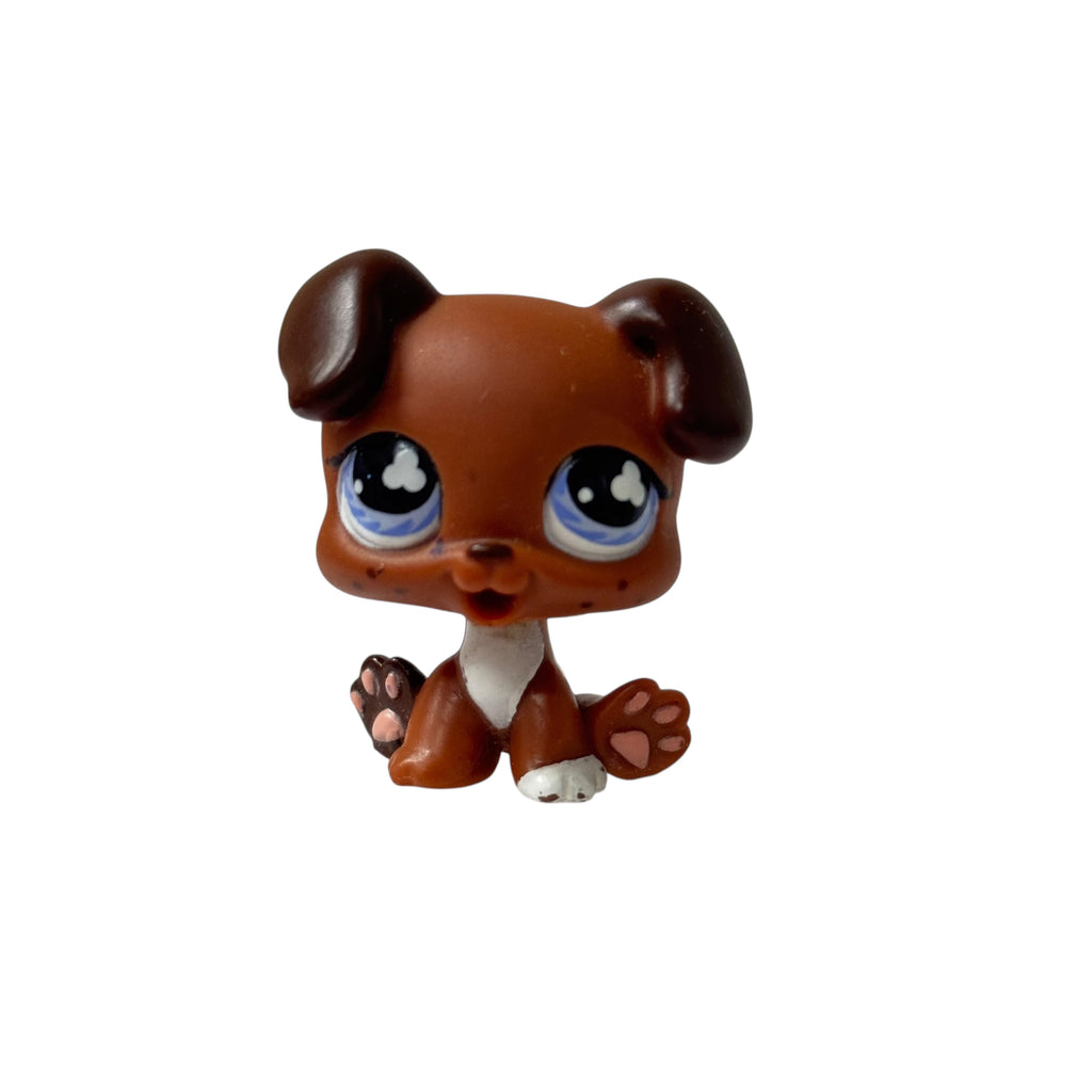 LPS koira pentu #657