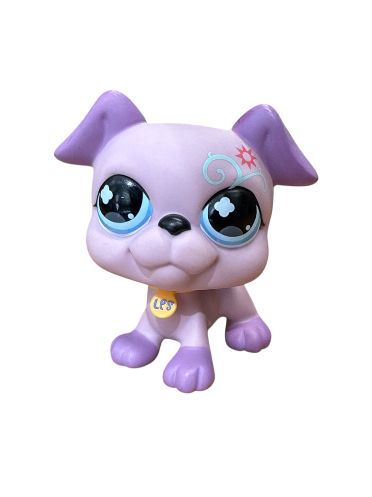 LPS bokseri jättikokoinen