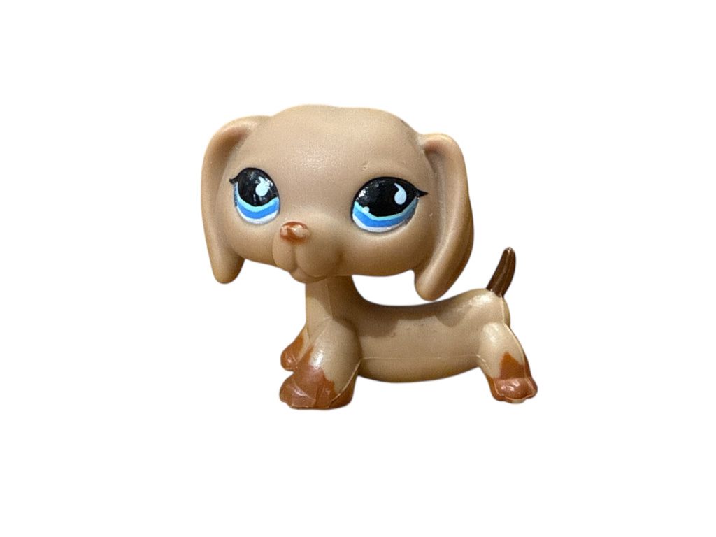 LPS mäyräkoira #518