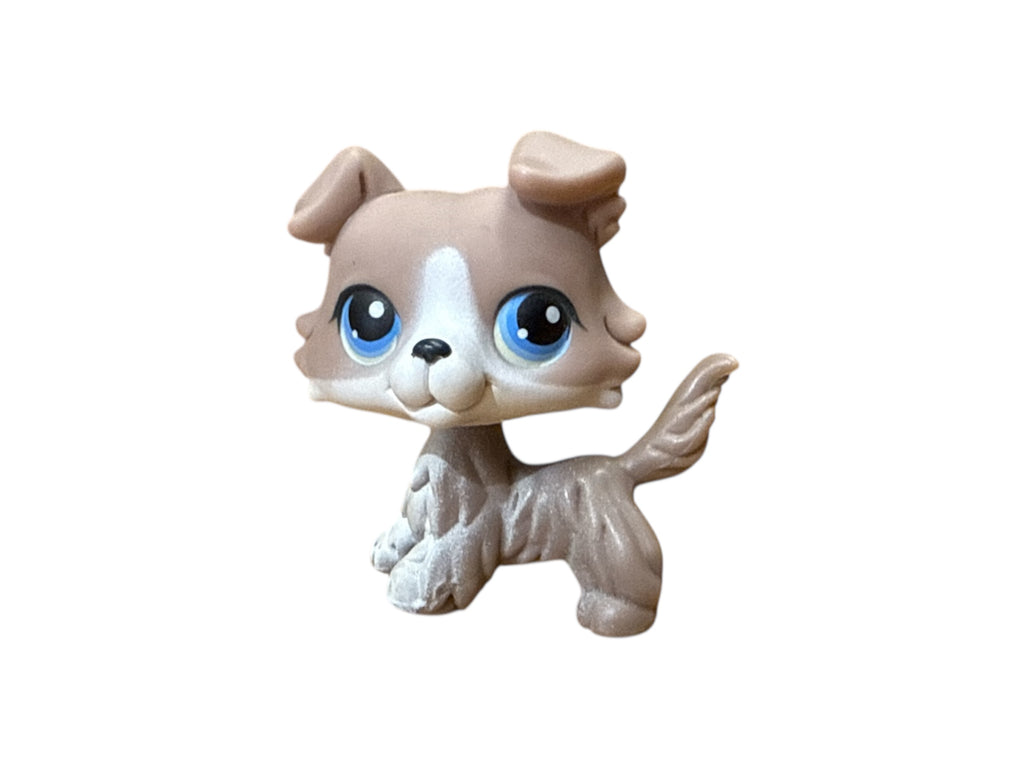 LPS collie #067 punainen magneetti