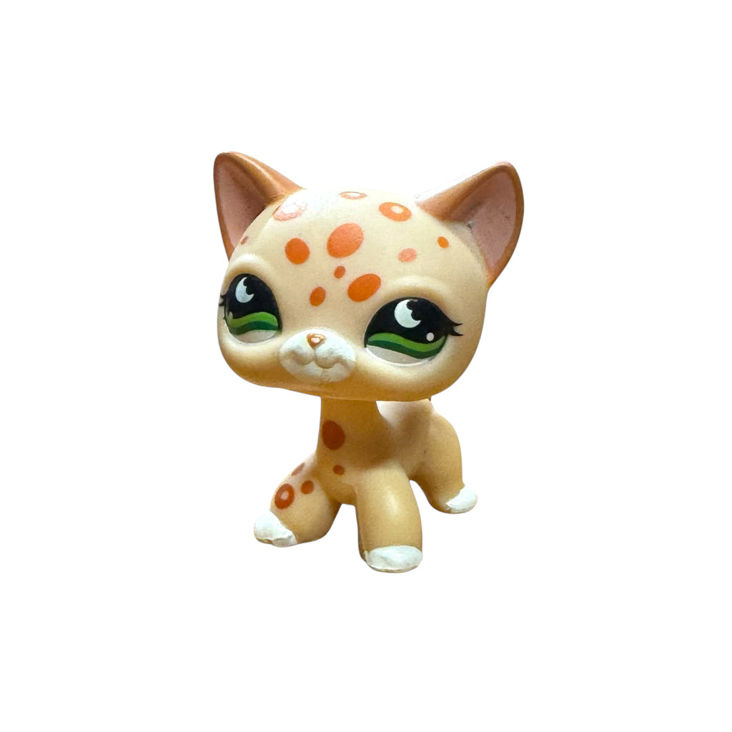 LPS seisova kissa #852