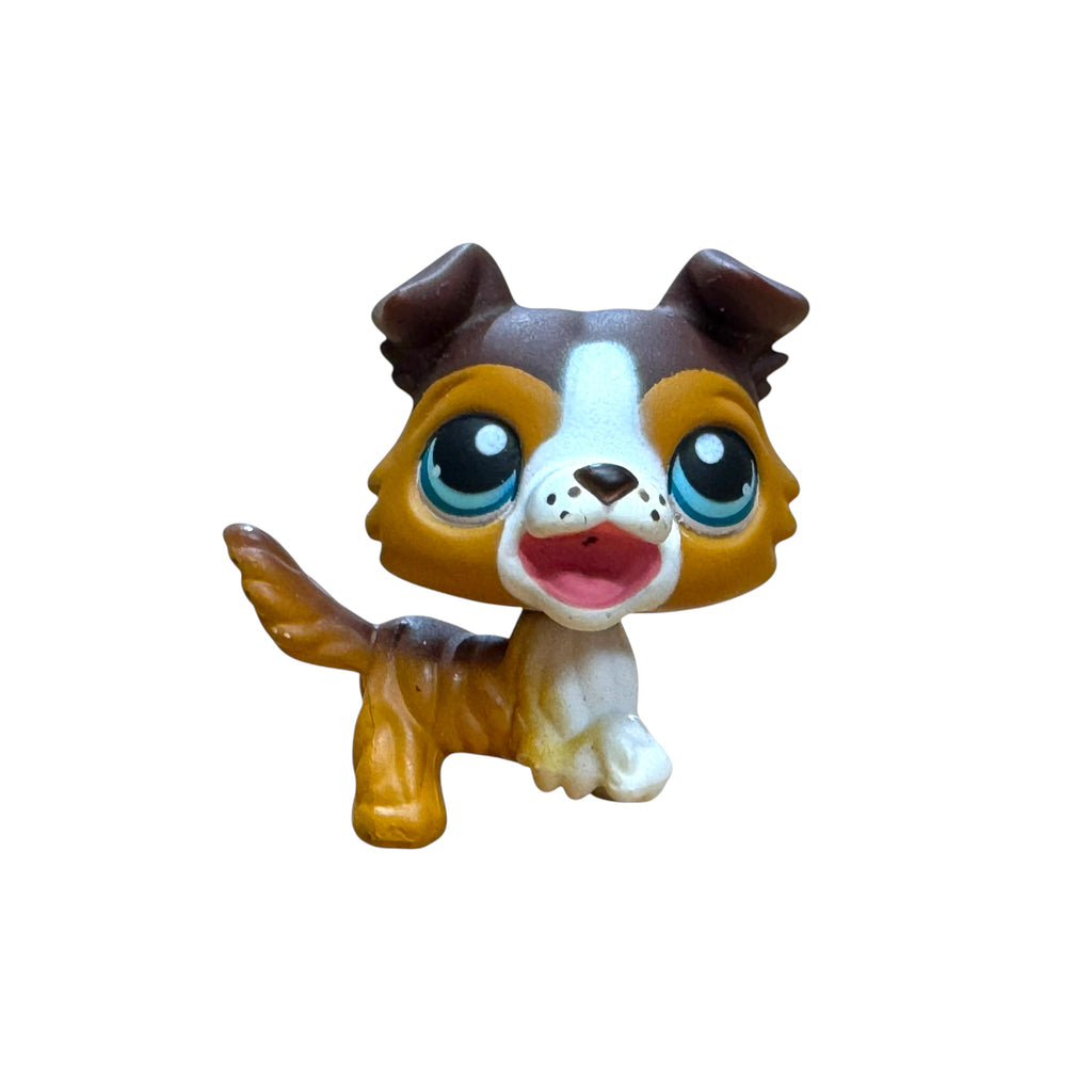LPS collie #237 punainen magneetti