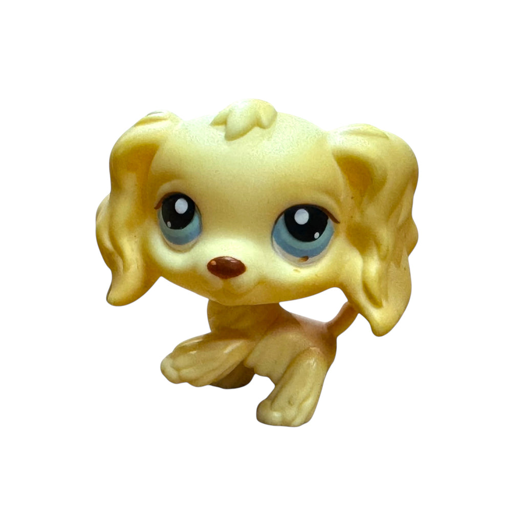 LPS cockerspanieli #091