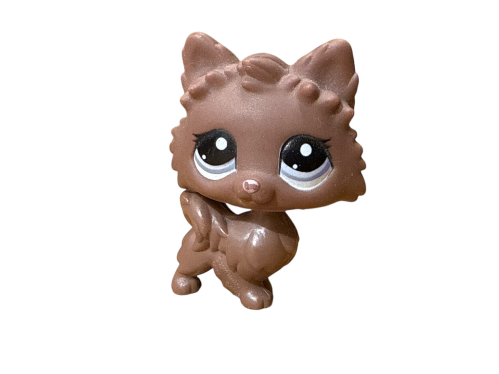 LPS Pomerian koira #2449