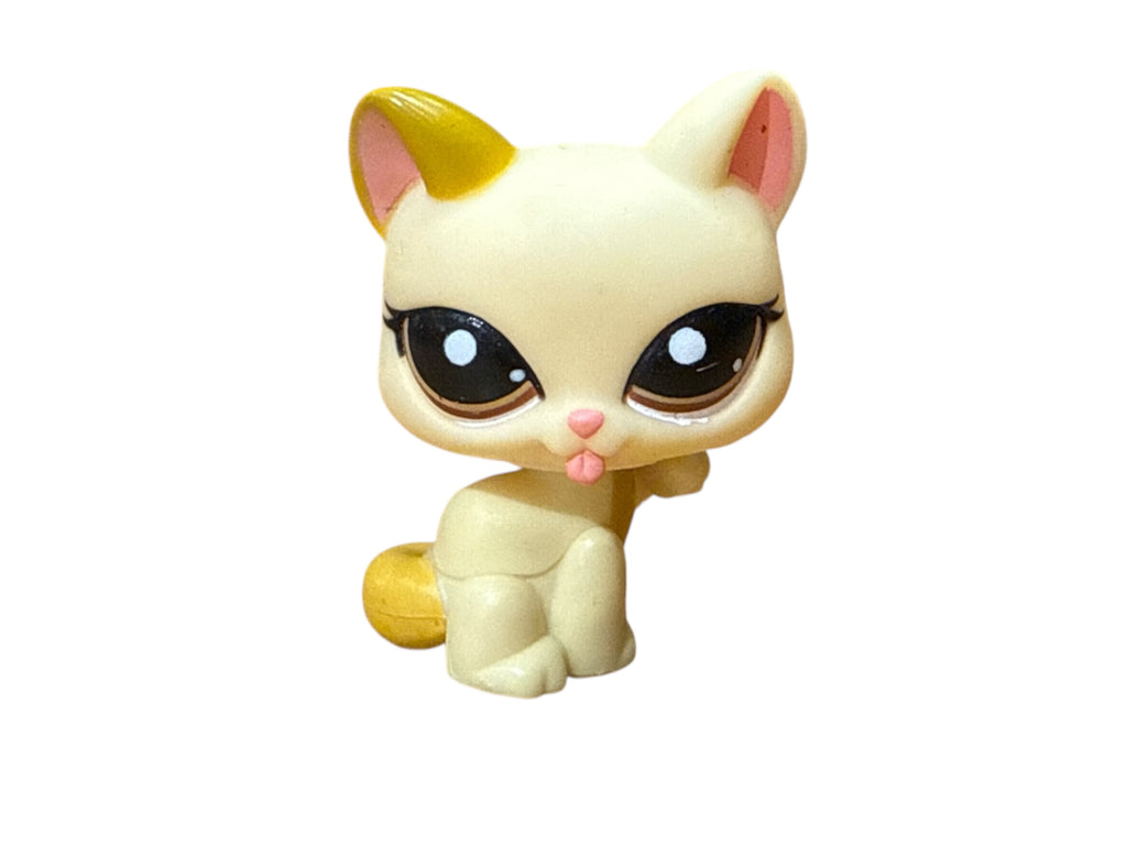 LPS tassua nuoleva kissa #1692