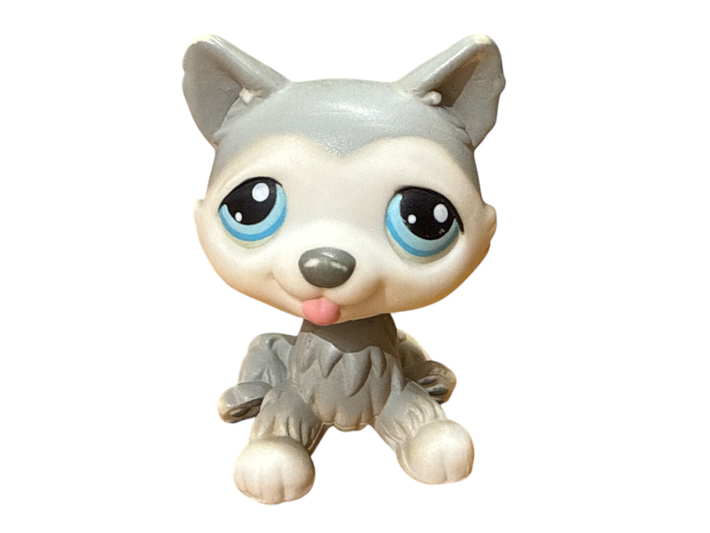 LPS husky #070