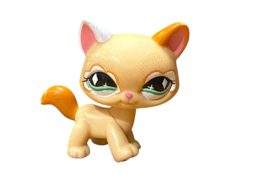 LPS askeltava kissa #626