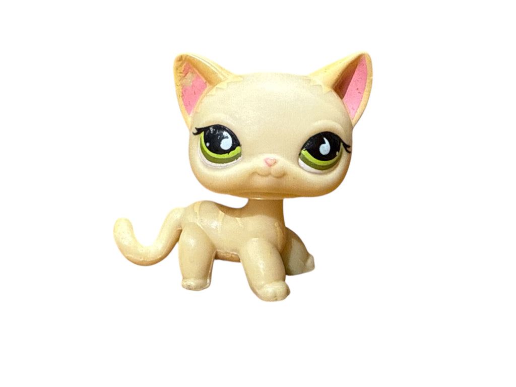 LPS seisova kissa #733