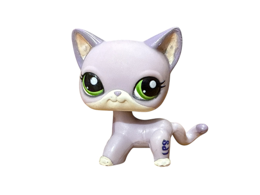 LPS seisova kissa #2094