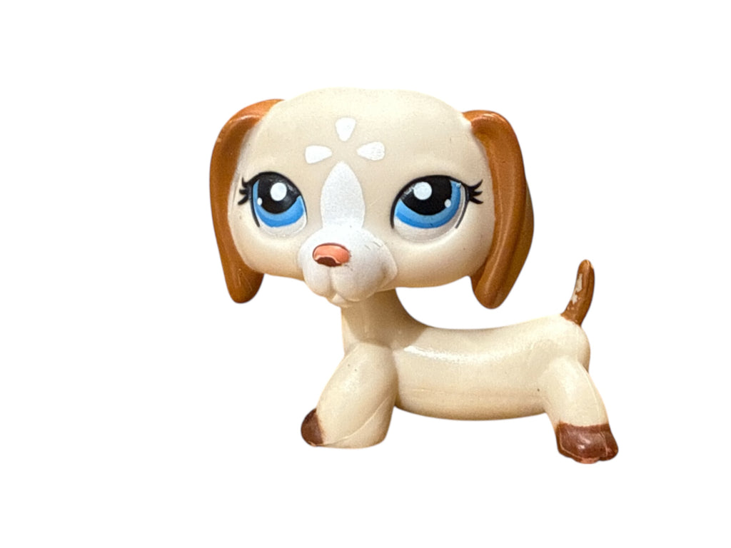 LPS mäyräkoira #1491