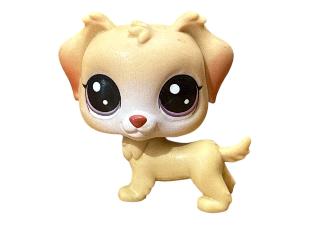 LPS kultainen noutaja #83