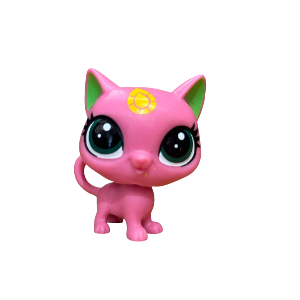 LPS kissa No# Cheesecake