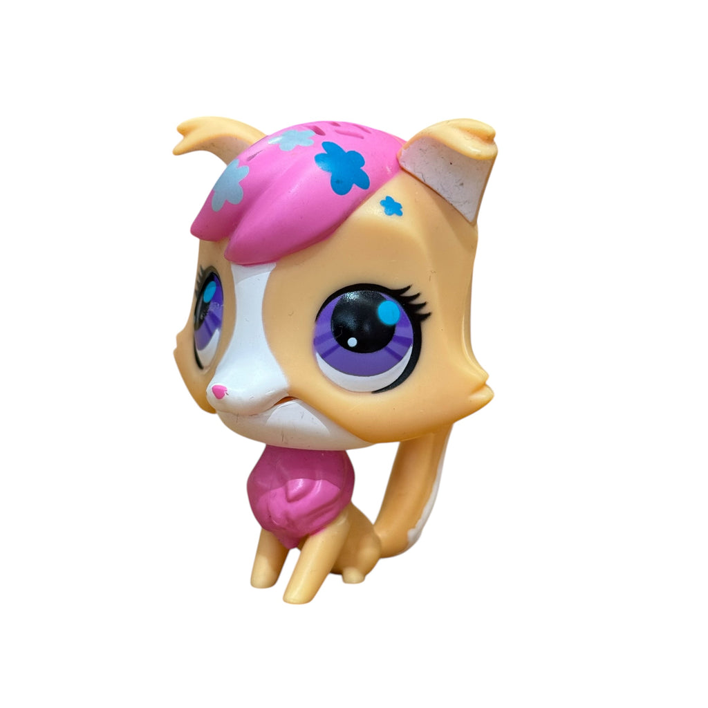 LPS haukkuva collie koira #3079