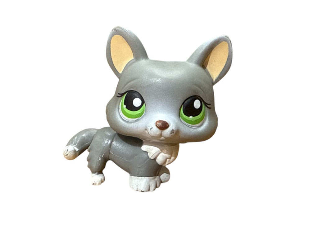 LPS koira corgi #367
