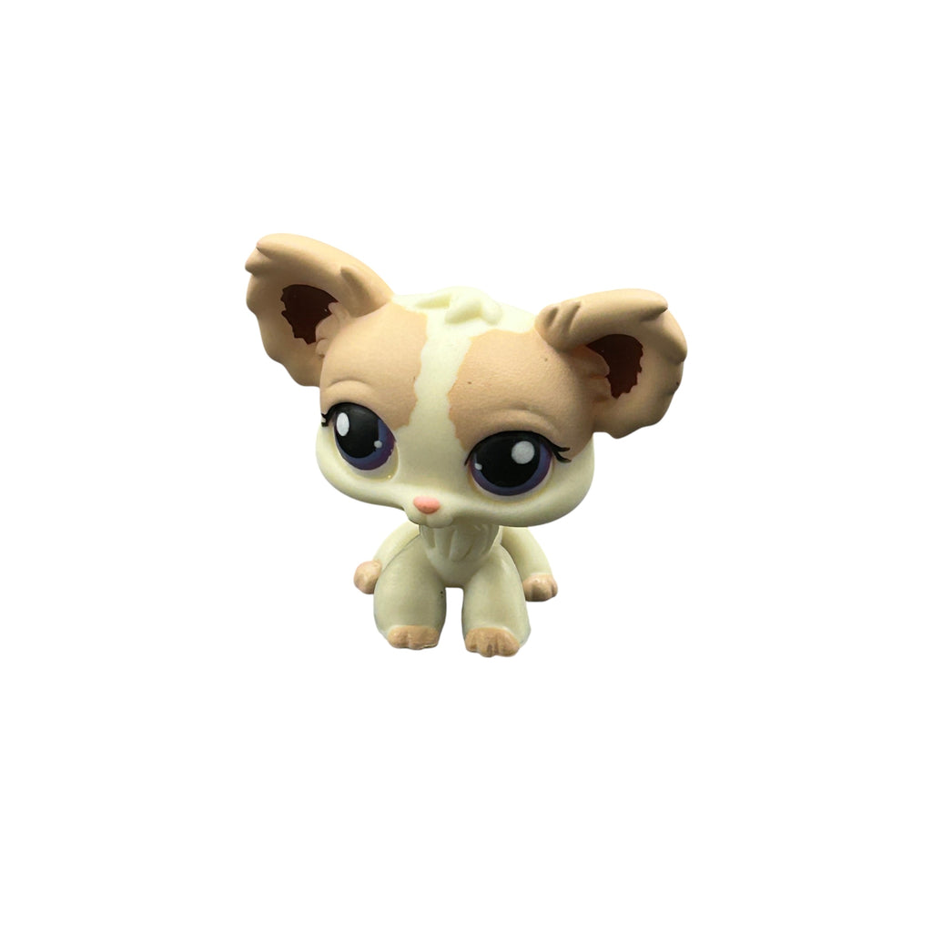 LPS chihuahua #438