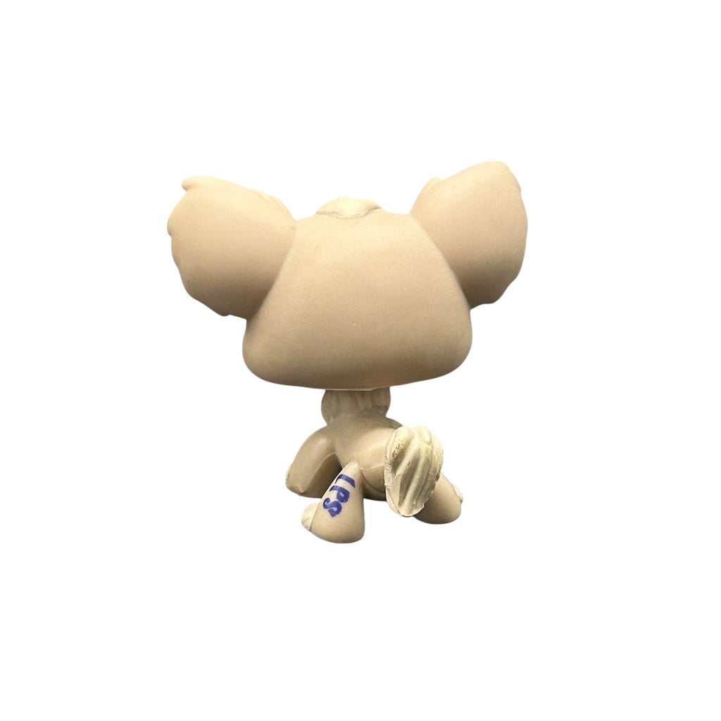 Figurine Littlest Pet Shop #1060 Chihuahua Hasbro - Originale, Occasion
