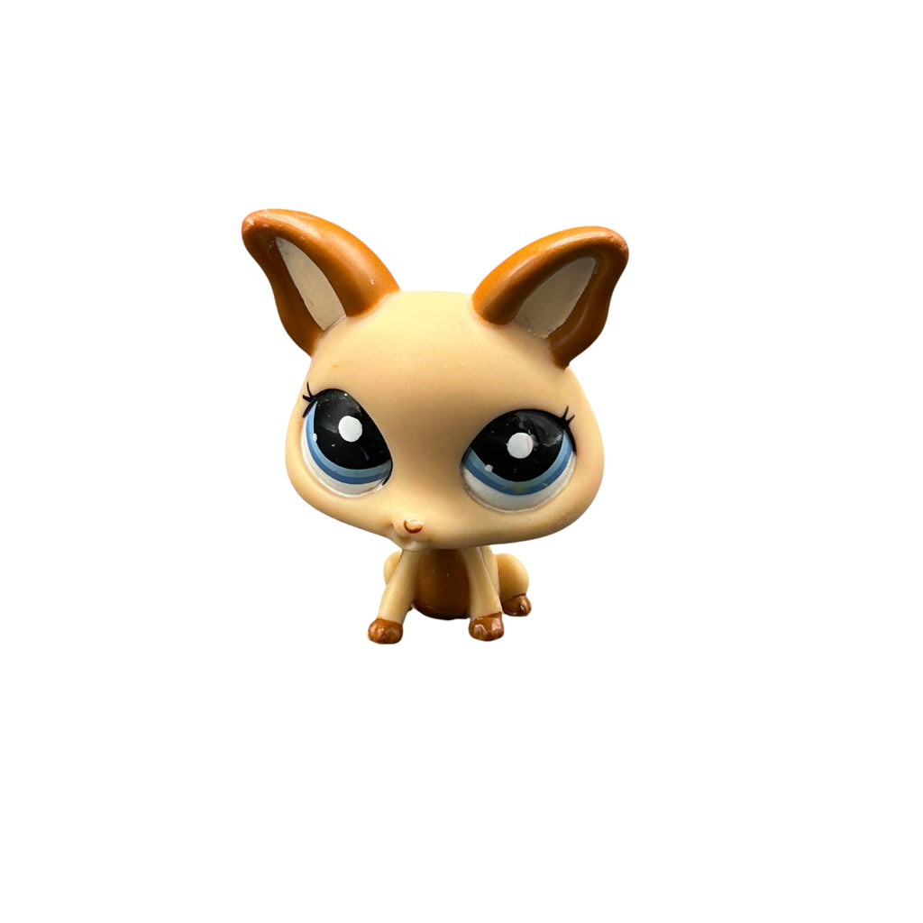 LPS chihuahua #2048