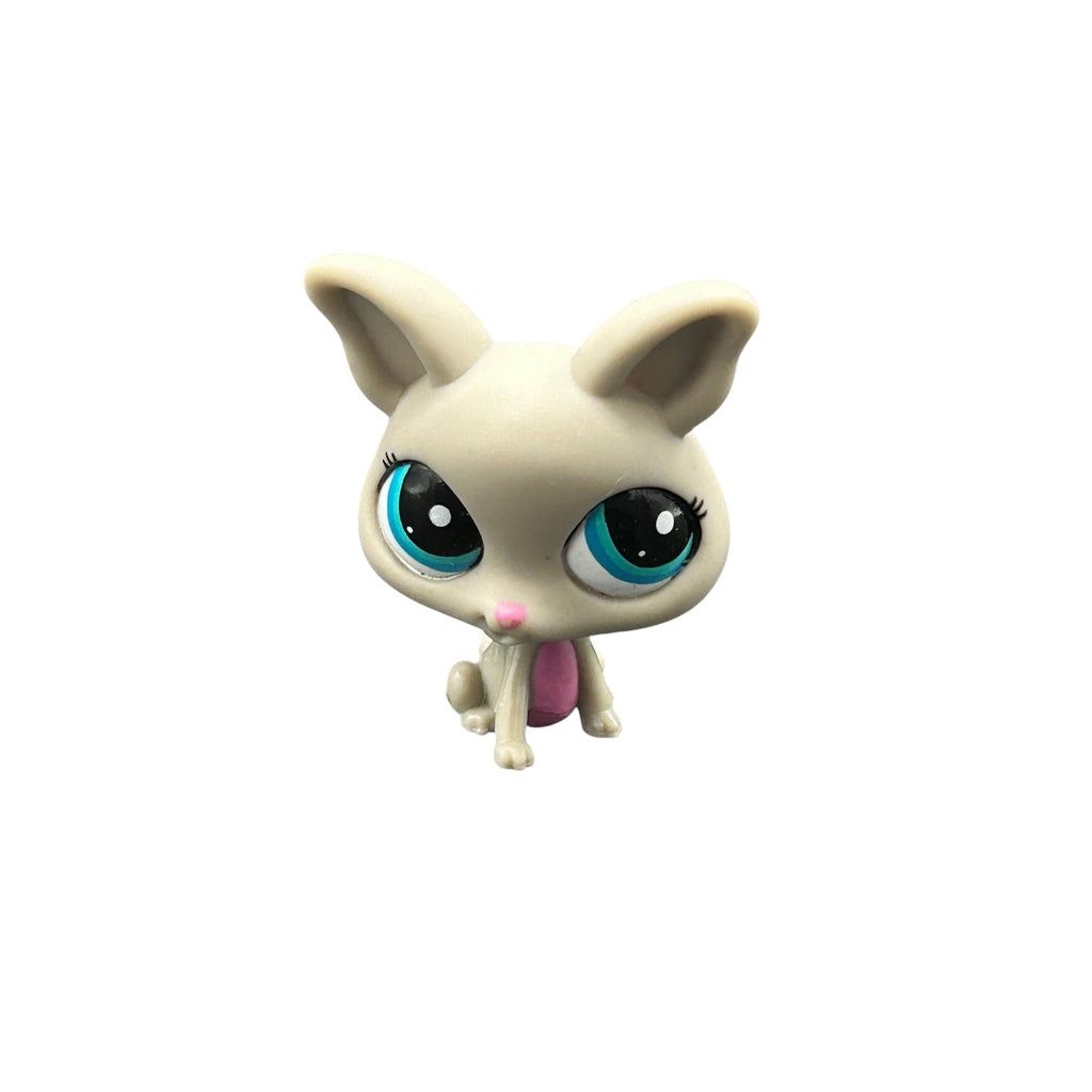 LPS koira chihuahua #2031