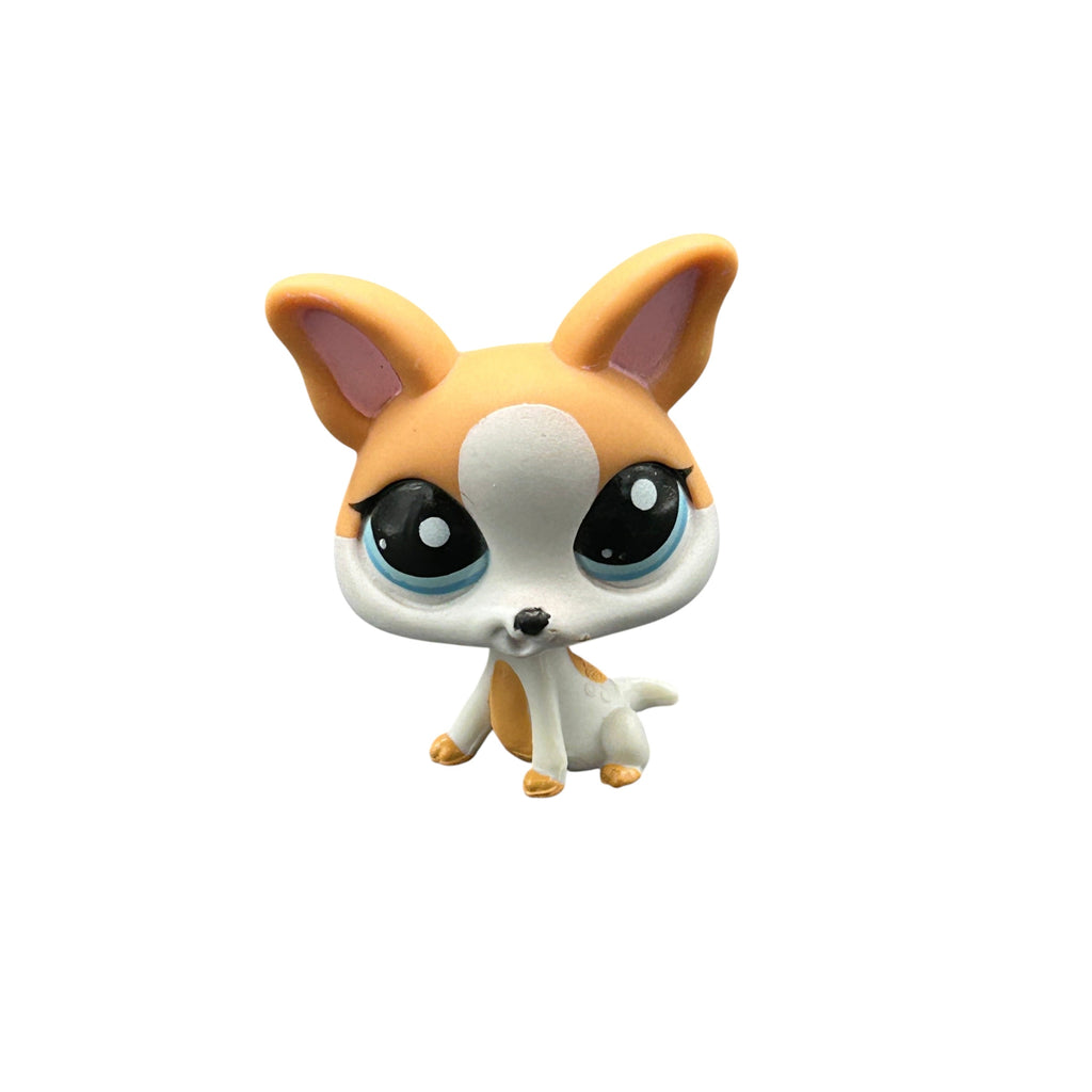 LPS koira chihuahua #2072
