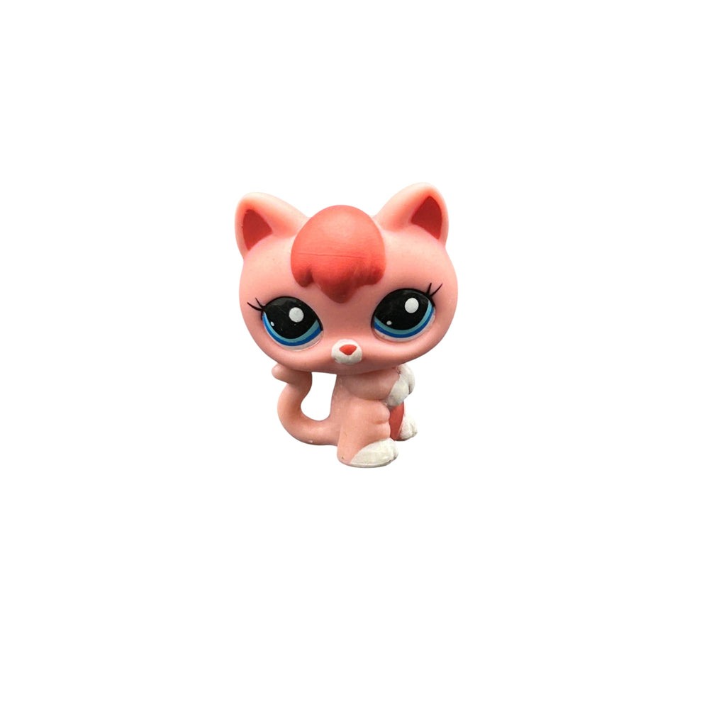 LPS kissanpentu #2593