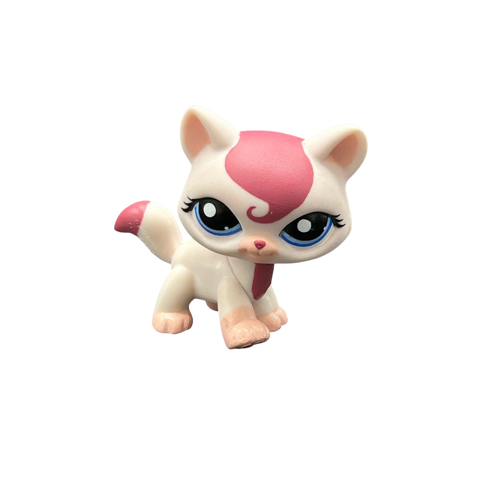 LPS askeltava kissa #1679