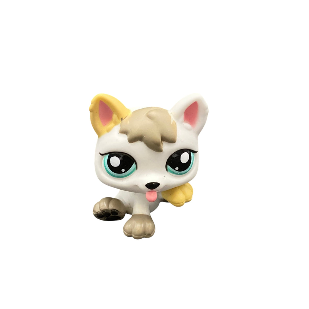LPS koira pentu #1876