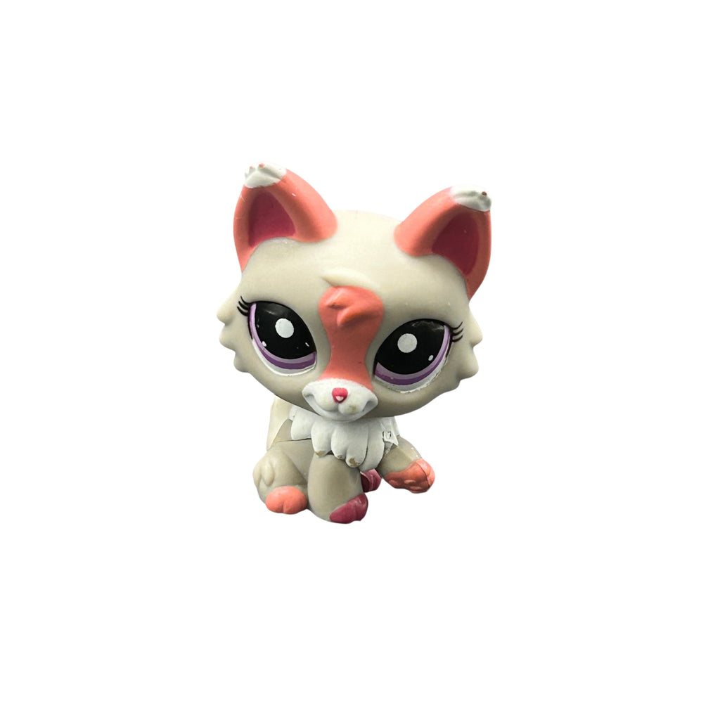 LPS susi kissa #1921