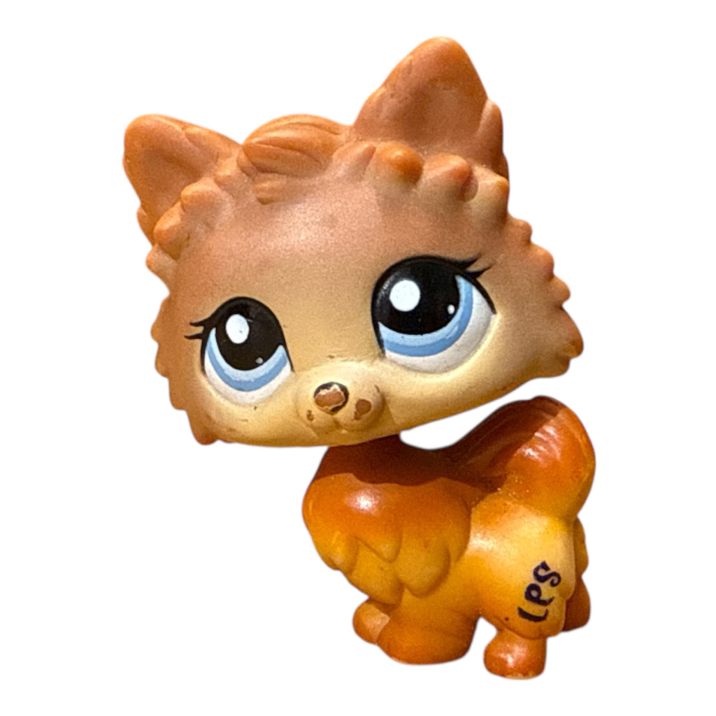 LPS pomerian koira #1599