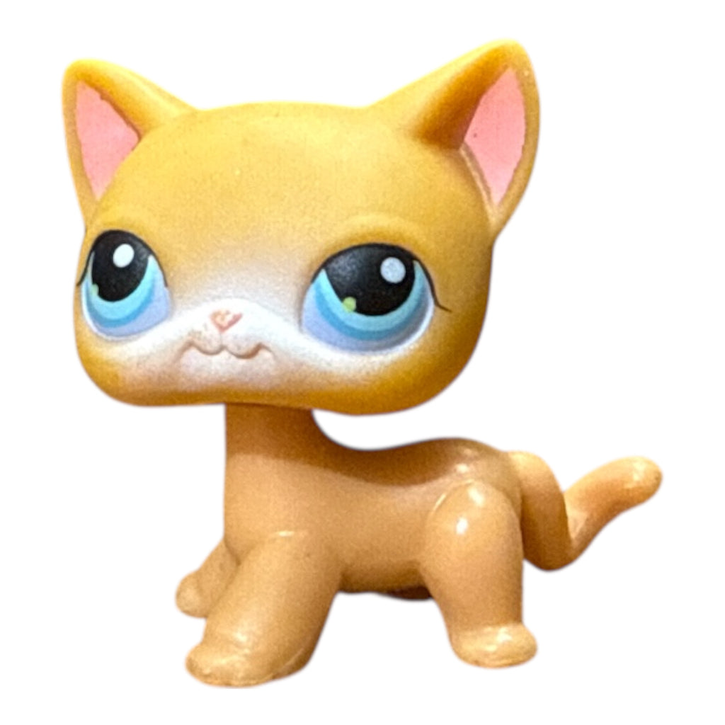 LPS seisova kissa #071